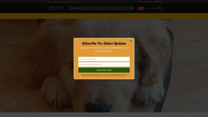 Nugsgoldenretriverpuppies.com - Golden Retriever Puppy Scam Review