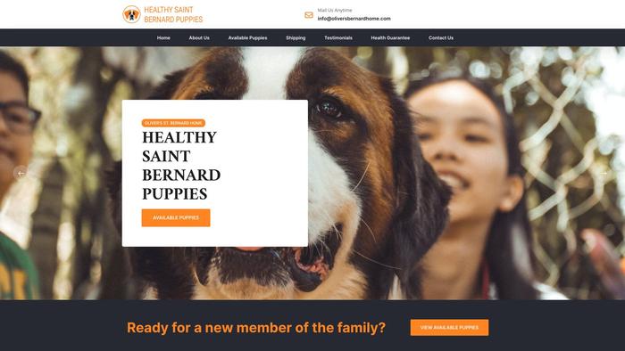 Oliversbernardhome.com - Saint Bernard Puppy Scam Review