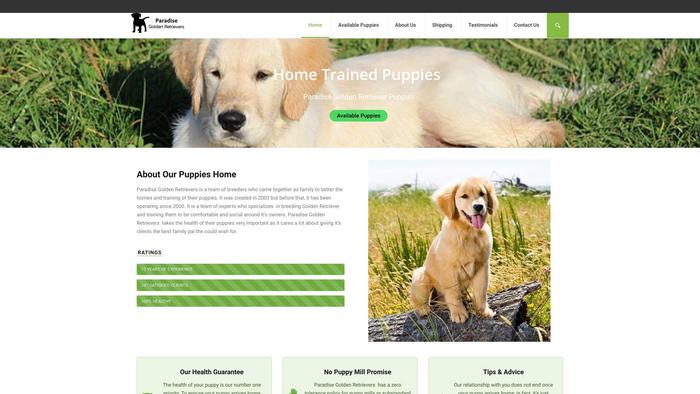 Paradisegoldenretriever.com - Golden Retriever Puppy Scam Review