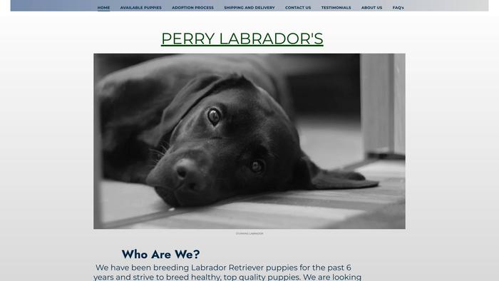 Perrylabrador.com - Labrador Puppy Scam Review