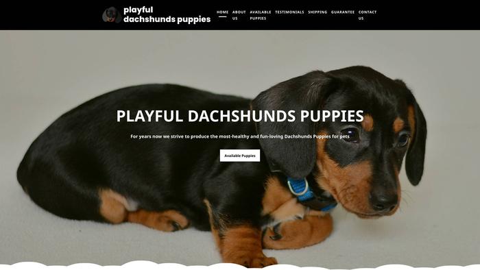 Playfuldachshundspuppies.com - Dachshund Puppy Scam Review