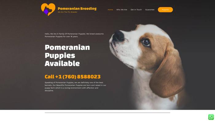 Pomeranianbreeding.com - Pomeranian Puppy Scam Review