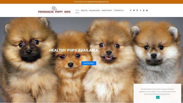 Pomeranianpupsforhome.com - Pomeranian Puppy Scam Review