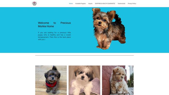 Preciousmorkiehome.com - Yorkshire Terrier Puppy Scam Review