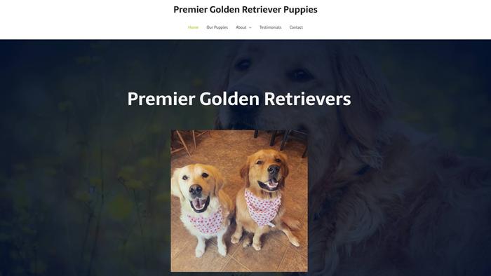 Premiergoldenretrieverpuppies.com - Golden Retriever Puppy Scam Review