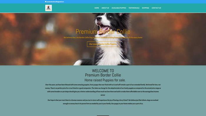 Premiumbordercollie.com - Bordercollie Puppy Scam Review