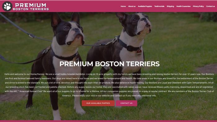 Premiumbostonterriers.com - Boston Terrier Puppy Scam Review