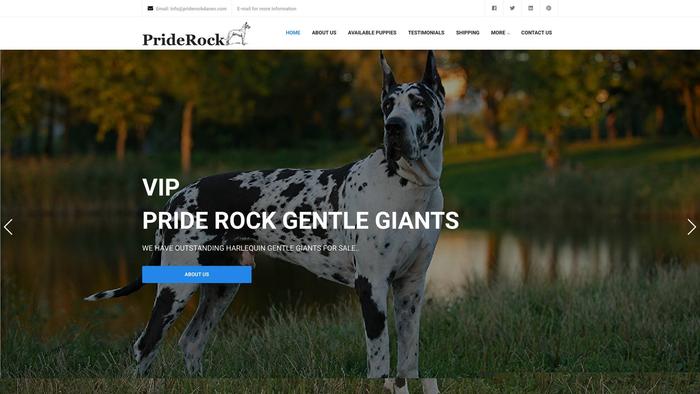 Priderockdanes-au.com - Great Dane Puppy Scam Review