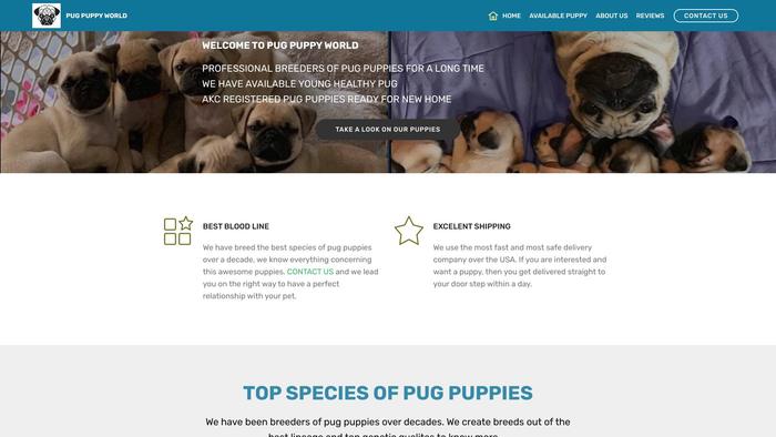 Pugpuppyworld.com - Pug Puppy Scam Review