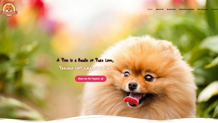 Puppypomeranian.com - Pomeranian Puppy Scam Review