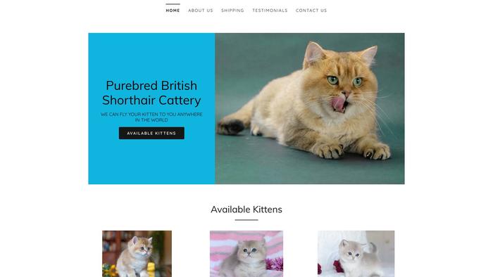 Purebredbritishshorthaircattery.com - British Shorthair Puppy Scam Review