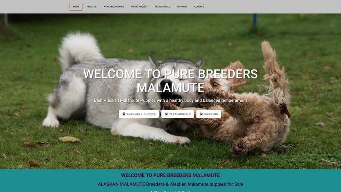 Purebreedersmalamute.com - Malamute Puppy Scam Review