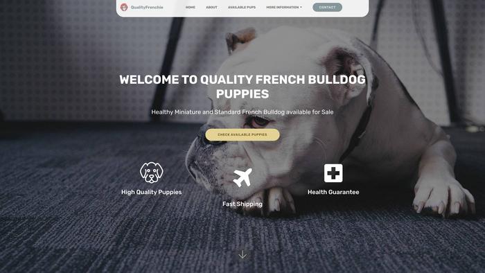 Qualityfrenchie.com - French Bulldog Puppy Scam Review