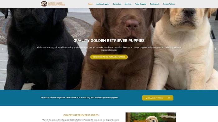 Qualitygoldenretrieverpuppies.com - Golden Retriever Puppy Scam Review