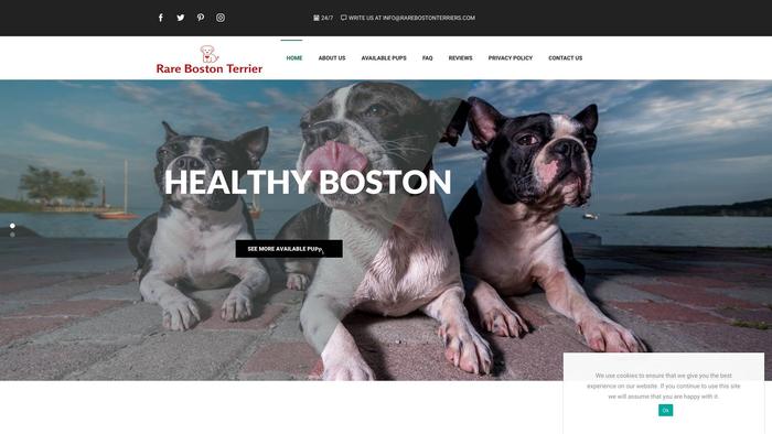 Rarebostonterriers.com - Terrier Puppy Scam Review