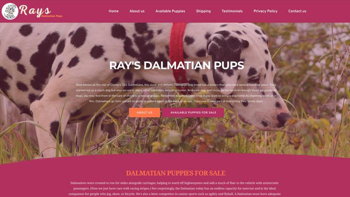 Raysdalmatianpups.com - Labrador Puppy Scam Review