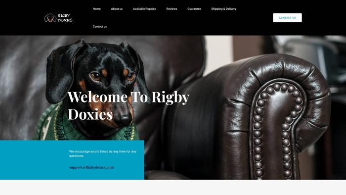 Rigbydoxies.com - Dachshund Puppy Scam Review