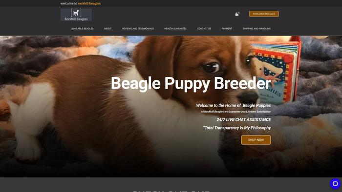 Rockhillbeaglepuppies.com - Beagle Puppy Scam Review