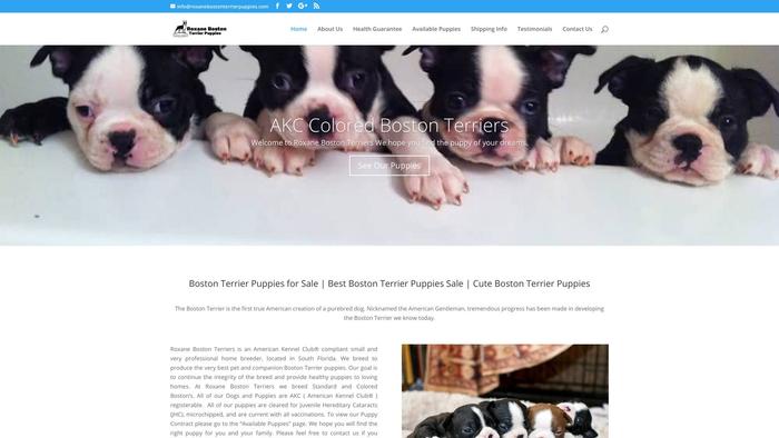 Roxanebostonterrierpuppies.com - Boston Terrier Puppy Scam Review