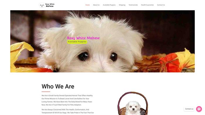 Roxywhitemaltese.babypups.net - Maltese Puppy Scam Review