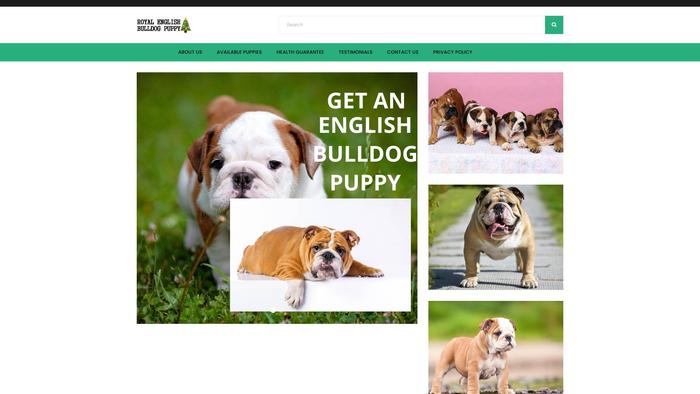 Royalenglishbulldogbreeder.com - English Bulldog Puppy Scam Review