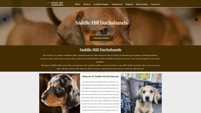 Saddlehilldachshunds.com - Dachshund Puppy Scam Review