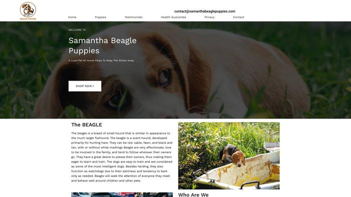 Samanthabeaglepuppies.com - Beagle Puppy Scam Review