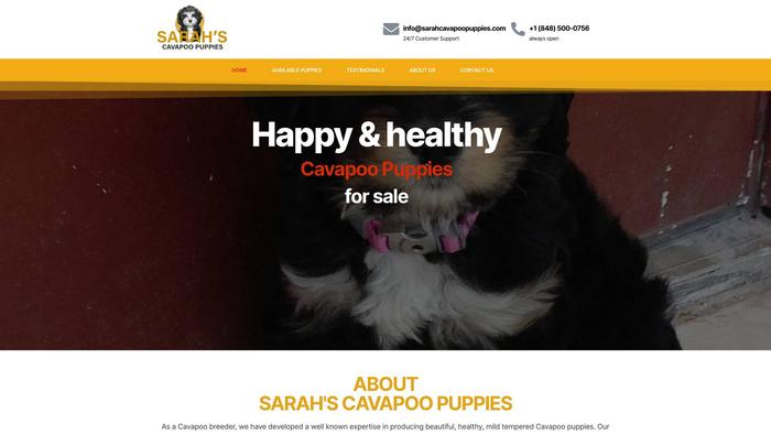 Sarahcavapoopuppies.com - Cavapoo Puppy Scam Review