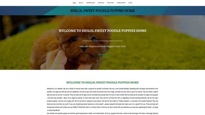 Shilolsweetpoodle.com - Poodle Puppy Scam Review