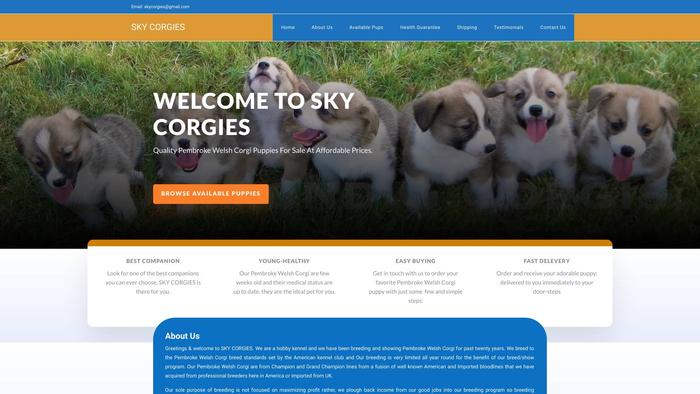 Skycorgies.com - Corgi Puppy Scam Review