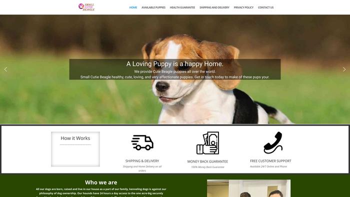 Smallcutiebeagle.com - Beagle Puppy Scam Review