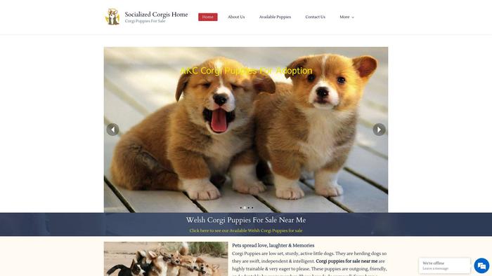 Socializedcorgishome.com - Corgi Puppy Scam Review