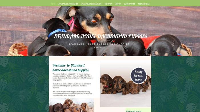 Standarddachshundpuppieshome.com - Dachshund Puppy Scam Review