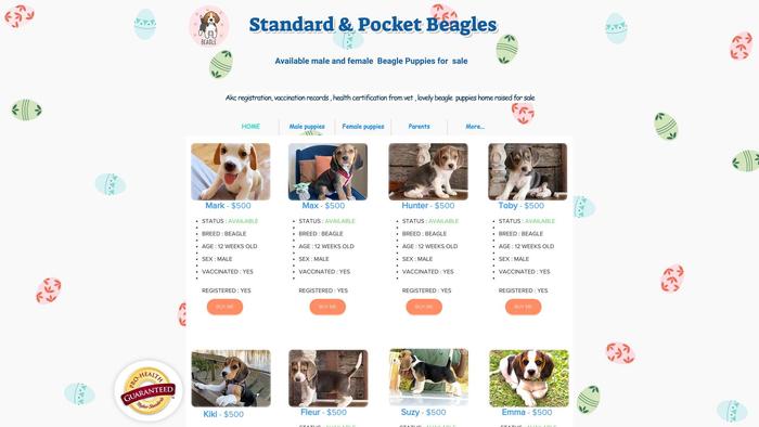 Standardpocketbeagles.com - Beagle Puppy Scam Review