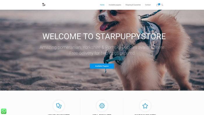 Starpuppystore.com - Pomsky Puppy Scam Review