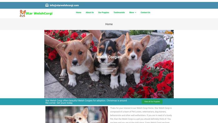 Starwelshcorgi.com - Corgi Puppy Scam Review