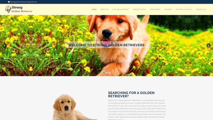 Stronggoldenretrievers.com - Golden Retriever Puppy Scam Review