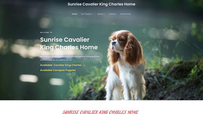 Sunrisecavalierkingcharleshome.com - Cavalier King Charles Spaniel Puppy Scam Review