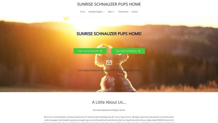 Sunriseschnauzerandschnoodlehome.com - Schnauzer Puppy Scam Review