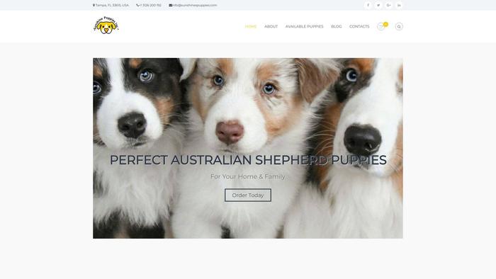 Sunshinespuppies.com - Germanshepherd Puppy Scam Review