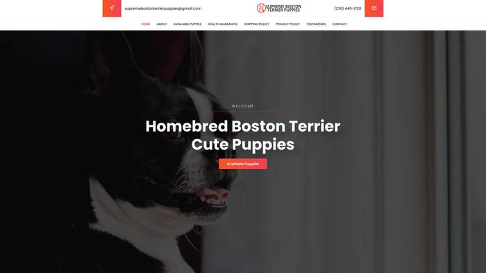 Supremebostonterrierpuppies.com - Boston Terrier Puppy Scam Review