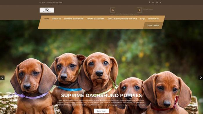 Supremedachshunds.store - Dachshund Puppy Scam Review