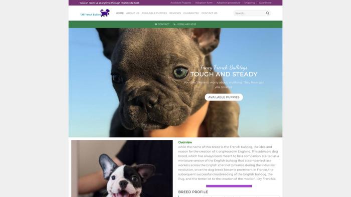 Taifrenchbullies.com - French Bulldog Puppy Scam Review