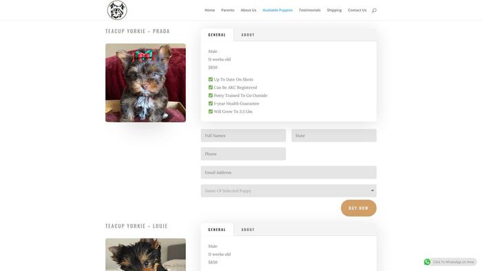 Tammyteacupyorkies.com - Yorkshire Terrier Puppy Scam Review