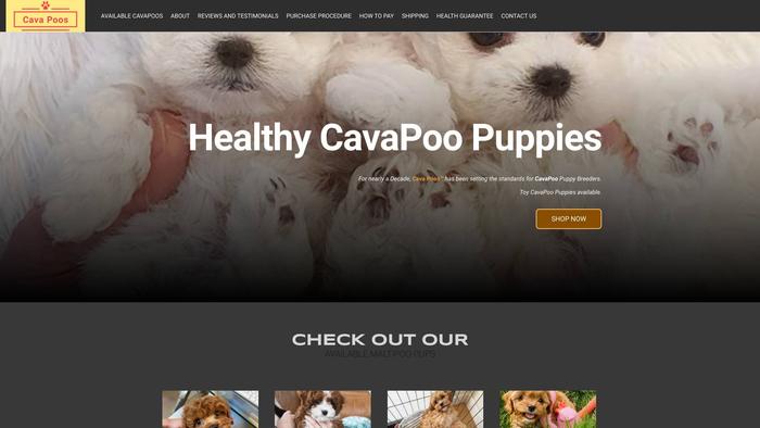 Teacupcavapoopuppies.com - Cavapoo Puppy Scam Review