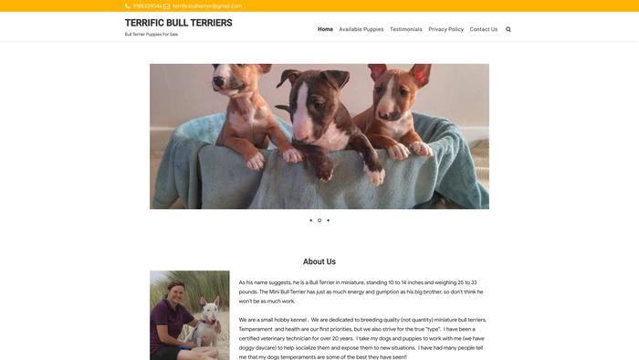 Terrificbullterriers.com - Terrier Puppy Scam Review