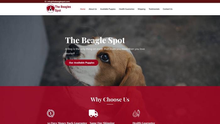 Thebeaglespot.com - Beagle Puppy Scam Review