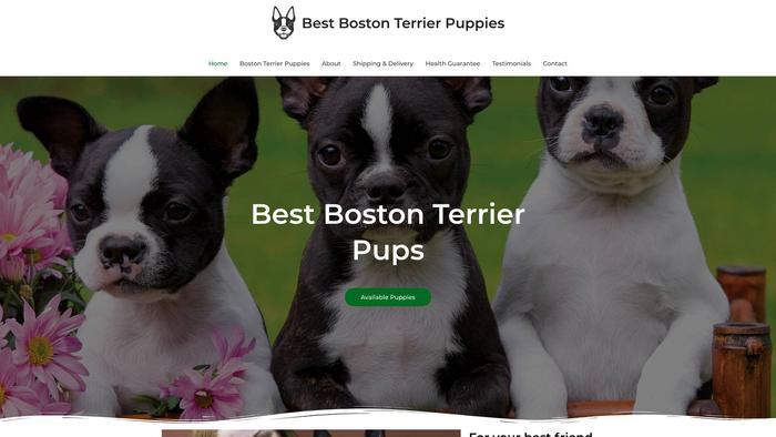 Thebestbostonterrierpuppies.com - Boston Terrier Puppy Scam Review