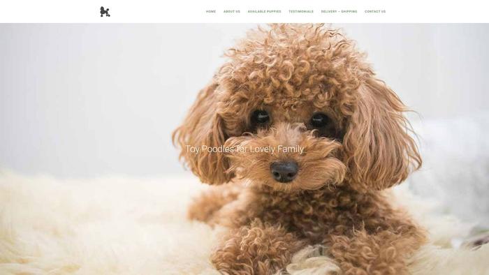 Thejonesfamilytoypoodle.com - Poodle Puppy Scam Review