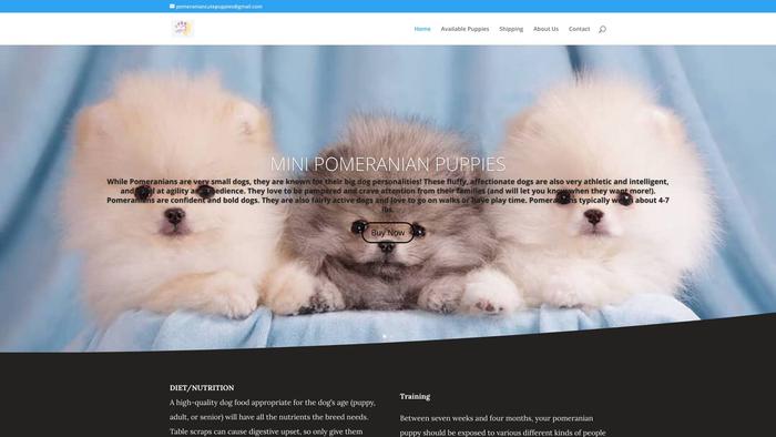 Tinipoms.com - Pomeranian Puppy Scam Review